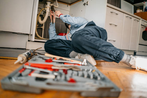 Best Best Plumbers Near Me  in Ddleville, MI