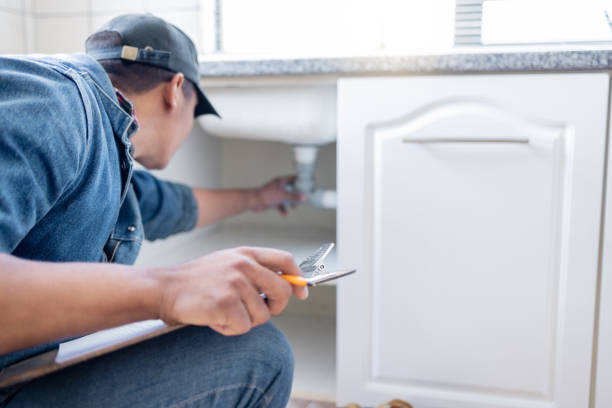 Best Local Plumber Services  in Ddleville, MI