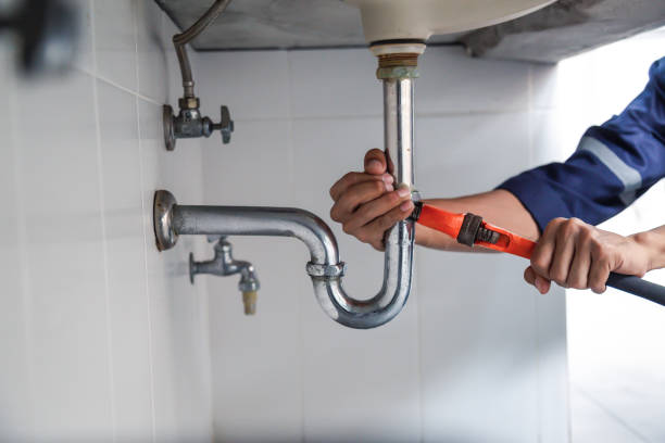 Best Shower Repair Services  in Ddleville, MI