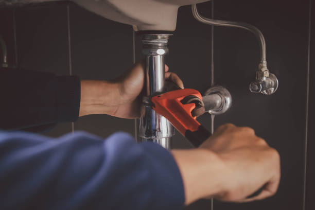 Best Clogged Drain Plumber  in Ddleville, MI
