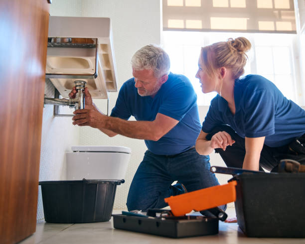 Best Emergency Plumber  in Ddleville, MI